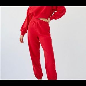 NWT cozy af Aritzia fleece sweatpants